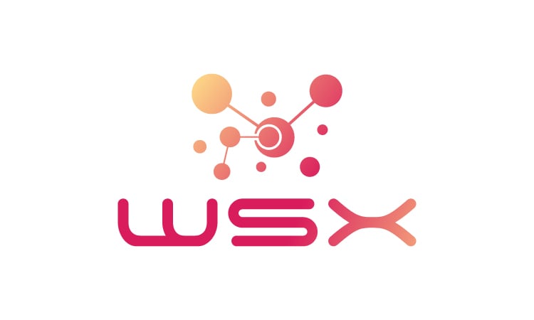 WSX logo